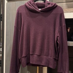 Splendid Ribbed hoodie Sweater in Plum